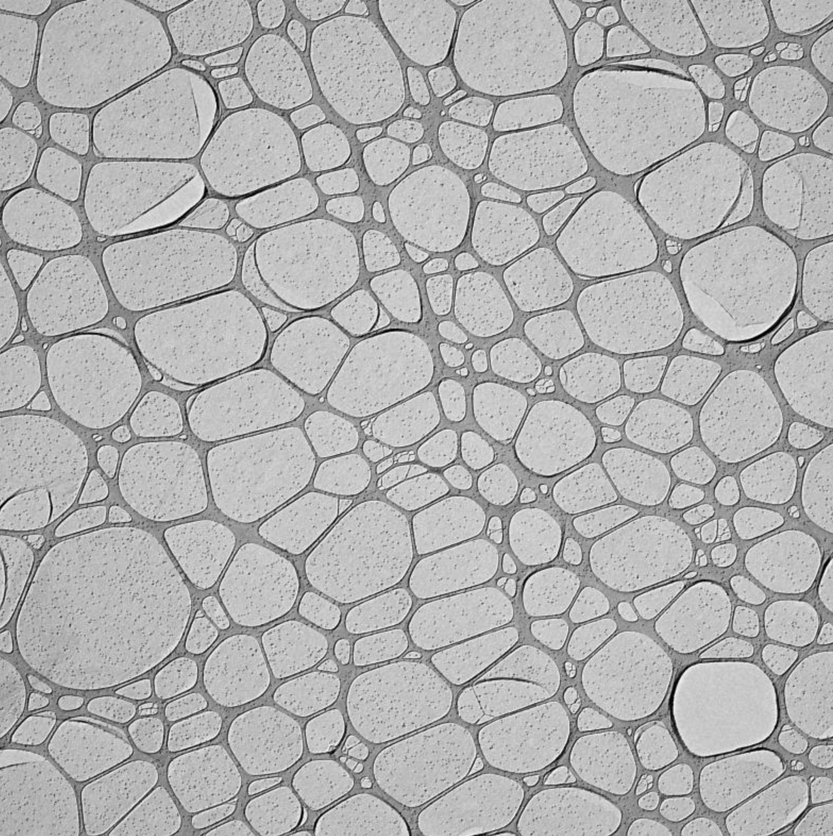 Graphene Oxide Grids - different holes