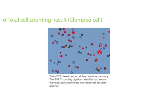 Correct Counting of Clumped Cells