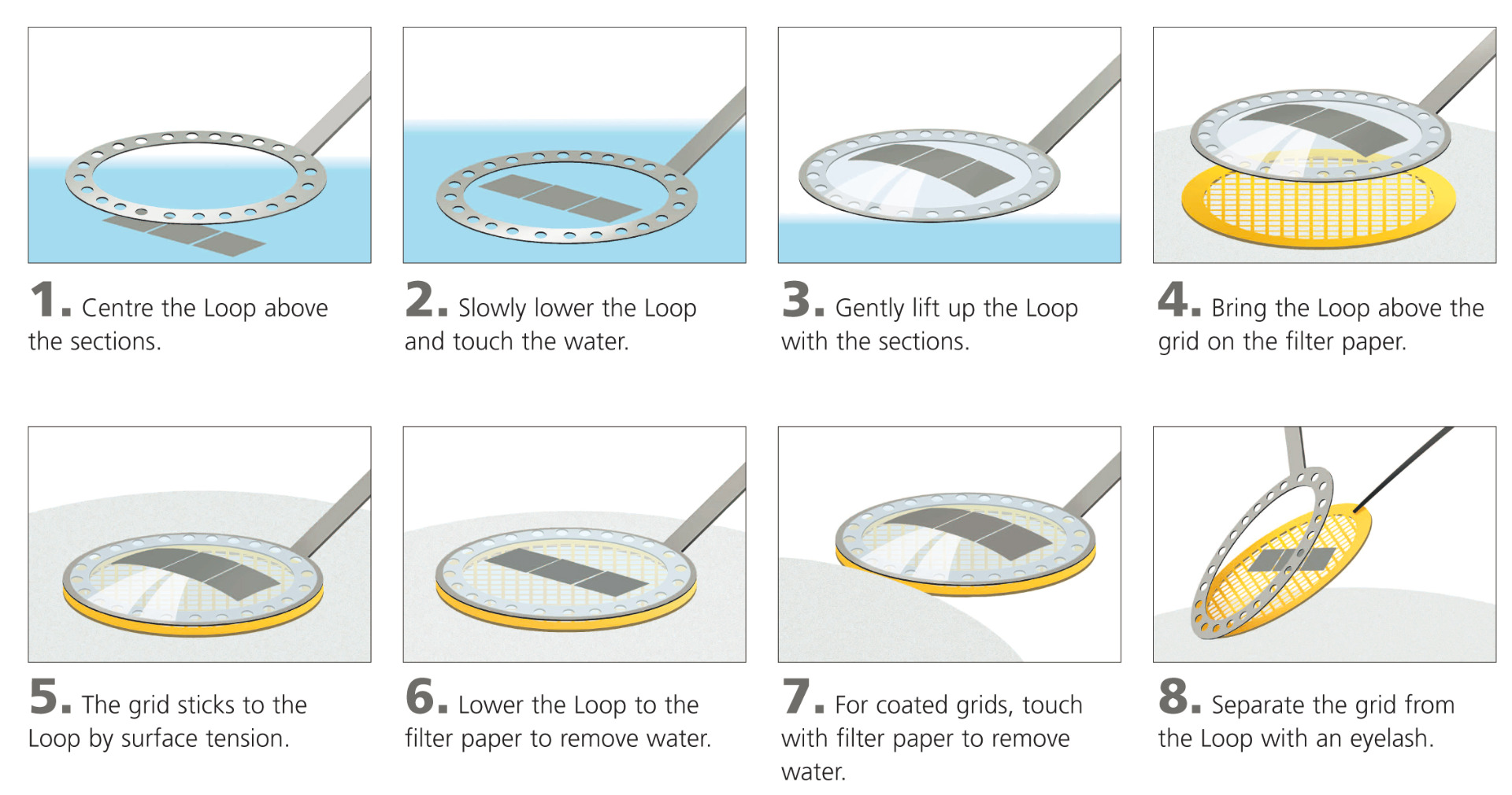 How to use the Perfect Loop