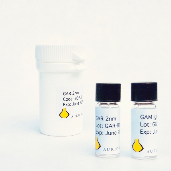 IMMUNOGOLD LABELLING