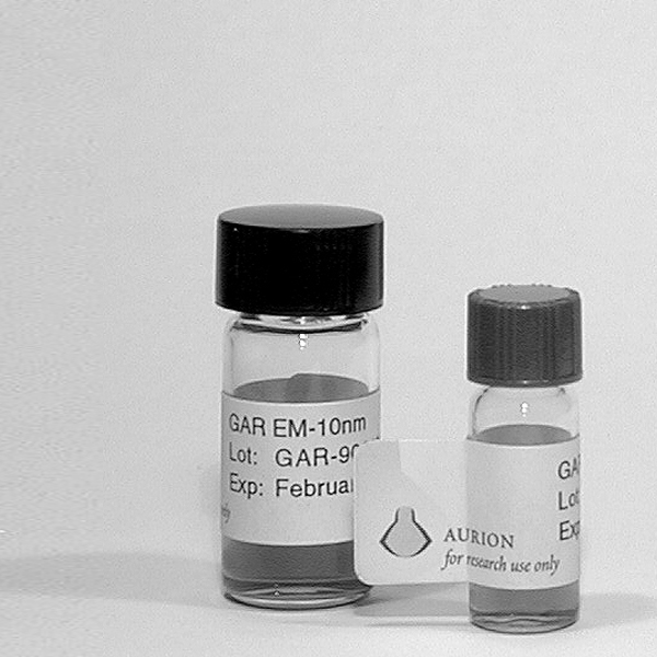 IMMUNOGOLD ANITKÖRPER