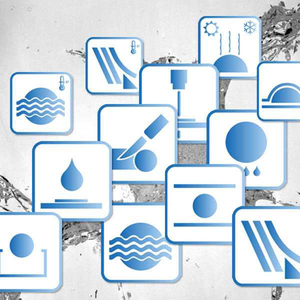 Workflows für TEM, KRYO-EM & REM