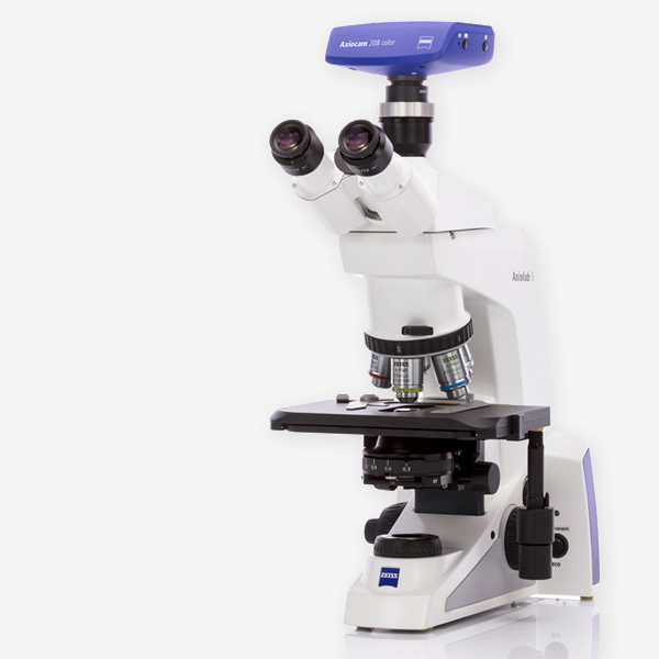 AUFRECHTE MIKROSKOPE