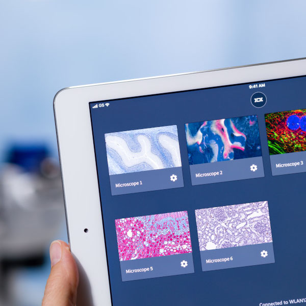 MIKROSKOP BILDAUFNAHME ANALYSE SOFTWARE