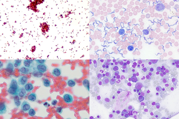 Applikationen/Anwendungen