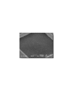 C-flat™ thick, 1,0µm Hole Size, 1,0µm Hole Spacing, Cu (Grids_mit_Trägerfilm)