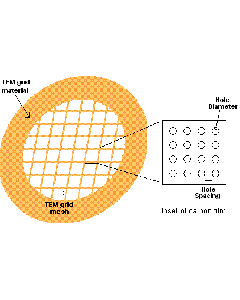 C-flat™, 4,0µm Hole Size, 1,0µm Hole Spacing, Cu (Grids_mit_Trägerfilm)