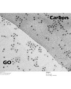 TEM Grids, Graphenoxid auf Holey Carbon, 300 Mesh, quadratisch, Cu