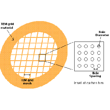 C-flat™, 4,0µm Hole Size, 1,0µm Hole Spacing, Cu (Grids_mit_Trägerfilm)