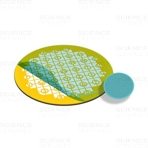 TEM Grids, Formvar Film coated, 135 Mesh, London Finder, Au