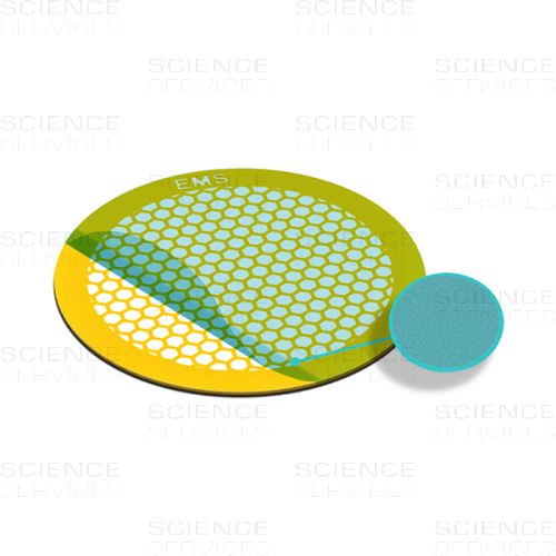 TEM Grids, Formvar Film coated, 300 Mesh, thin Bars, hexagonal, Au