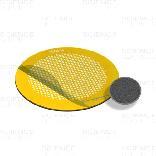 TEM Grids, Carbon Film coated, 200 Mesh, thin Bars Square, Au