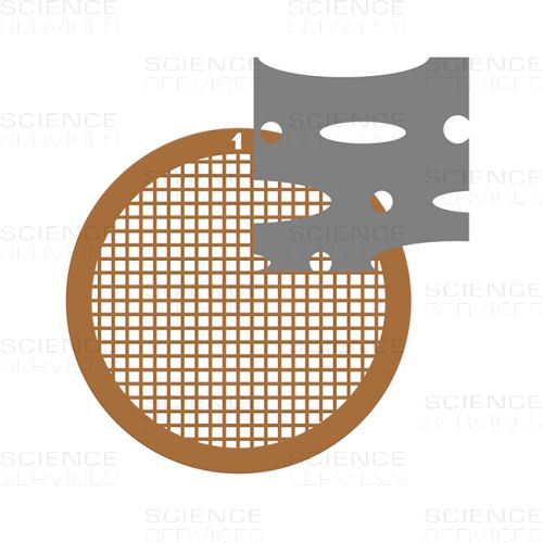C-flat™, 200 Mesh, Multihole Cu
