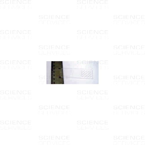 Plexiglas Microscope Slides