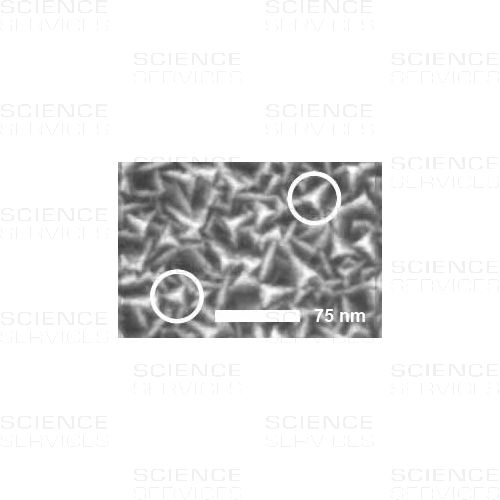 AFM NiO-Probe Standard