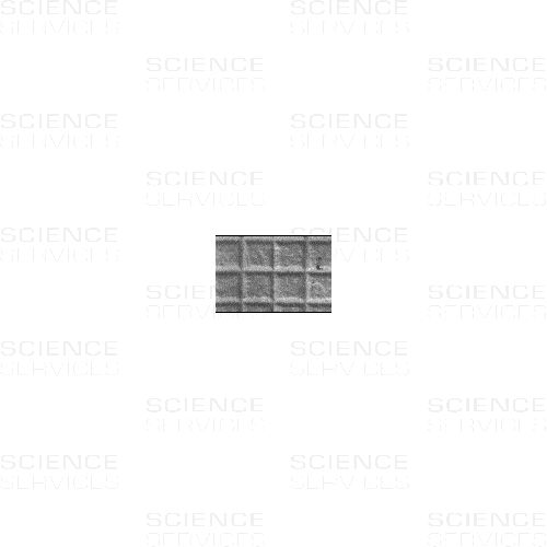 Gitterreplika, gekreuzte Linien, 1 Stück