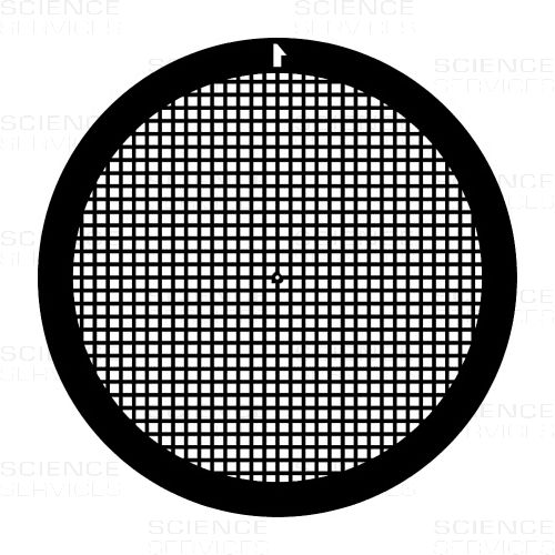TEM Grids, Lacey Carbon Film coated, 300 Mesh, Au