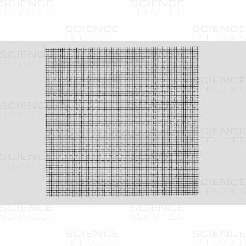 NE10 - Squared Grids, different diamters