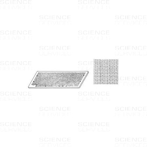 S7 England Finder Gridded Microscopy Slide - 1