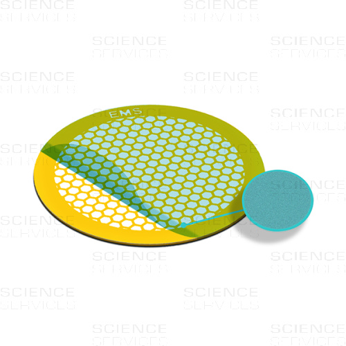TEM Grids, Formvar Film coated, 400 Mesh, hexagonal, Au