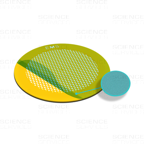 TEM Grids, Formvar Film coated, 400 Mesh, thin Bars, square, Au