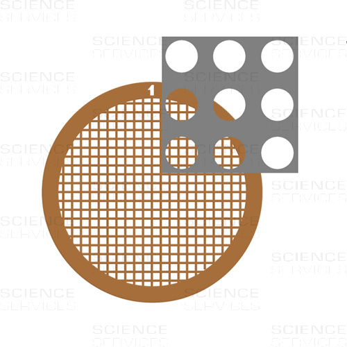 C-flat™, 200 Mesh, 2,0µm Lochgröße, 1,0µm Lochabstand, Cu