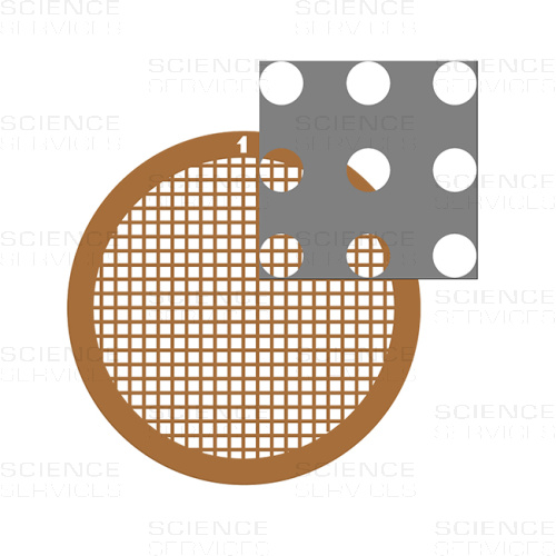 C-flat™ thick, 200 Mesh, 2,0µm Lochgröße, 2,0µm Lochabstand, Cu
