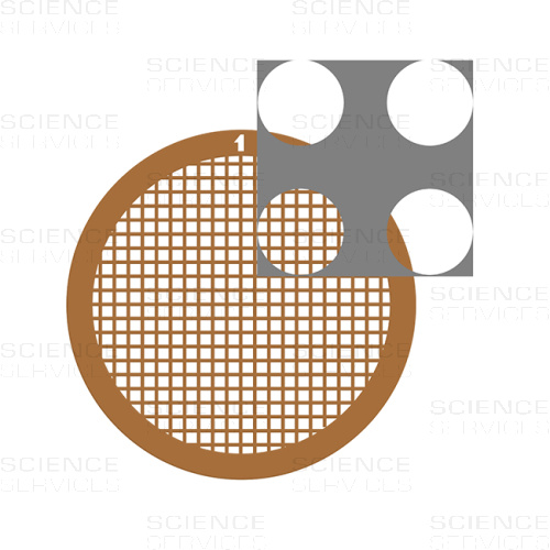 C-flat™ thick, 200 Mesh, 4,0µm Lochgröße, 2,0µm Lochabstand, Cu