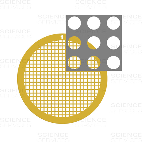 C-flat™, 200 Mesh, 2,0µm Lochgröße, 1,0µm Lochabstand, Au