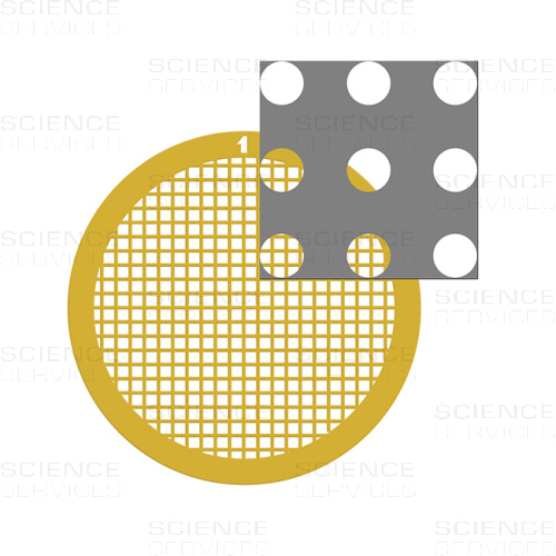 C-flat™, 200 Mesh, 2,0µm Lochgröße, 2,0µm Lochabstand, Au