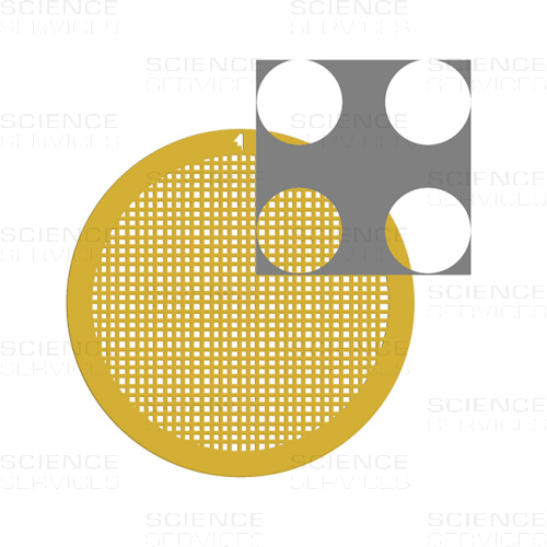 C-flat™ 300 Mesh, 4,0µm Lochgröße, 2,0µm Lochabstand, Au