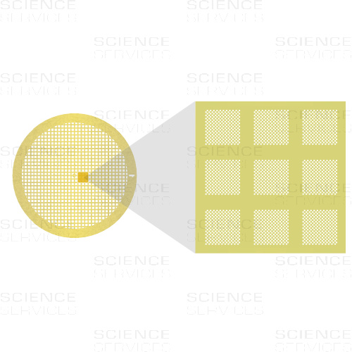 Au-flat, 1.2 µm Lochgröße, 1.3 µm Lochabstand, 300 Mesh, Au/Pd