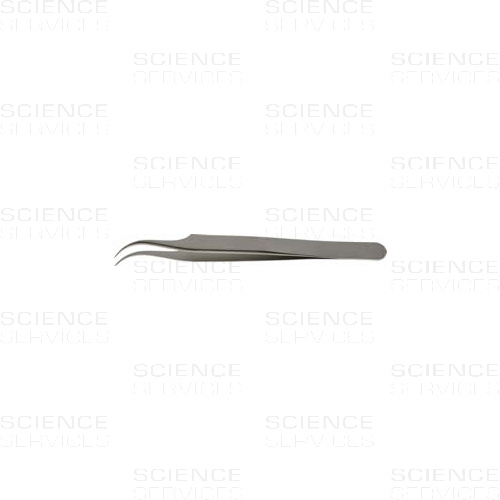Dumont Pinzette, Style 7, H/P Grade, Dumoxel
