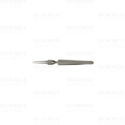 Dumont Pinzette, Style N5AC, Biological Grade, Inox 02