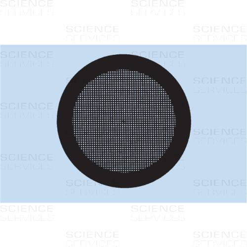 TEM Grids, 500 Mesh, quadratisch