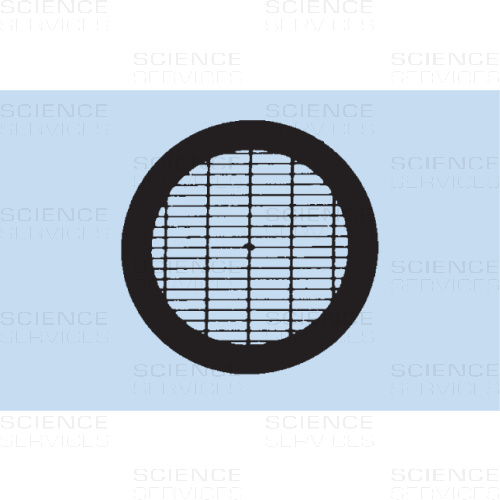 TEM Grids, 50/200 Mesh, Parallelstege mit Unterteilungen