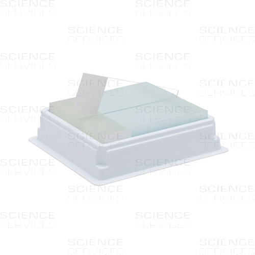 Adhesion Slide, Millennia 2.0, white frosted end, 75x25mm, 144 pieces