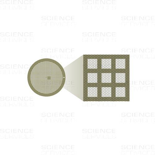 CD-flat™, Holey Carbon (8.0 µm Hole Size, 2.0µm Spacing), Large Specimen, 300 Mesh, 50 pieces