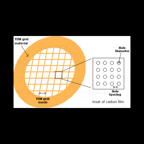 C-flat™, 4,0µm Hole Size, 1,0µm Hole Spacing, Cu (Grids_mit_Trägerfilm)