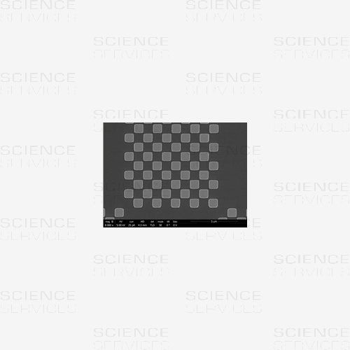 Chessboard Calibration Standard for SEM Imaging