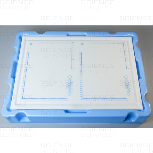 DissecTable™ Set, 1 Stück