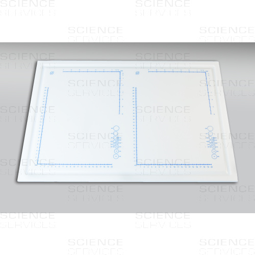 DissecTable™ Board, Sezierplatte, einzeln, 1 Stück