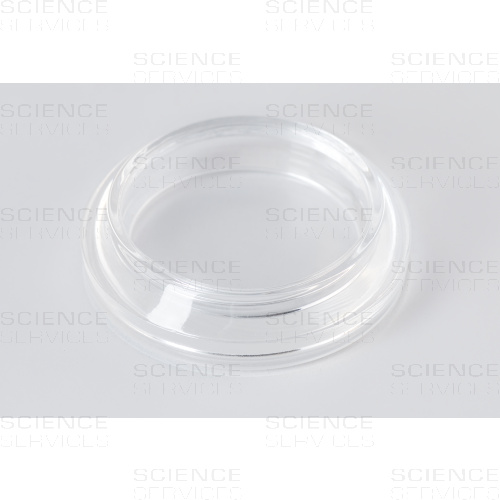Syracuse Schauglas