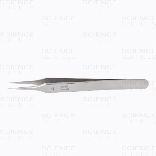 Dumont Positive Pinzette, Style 4, Dumoxel / Biology--1-