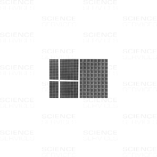 Silicon Test Specimen