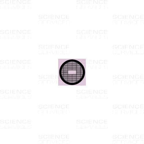 TEM Grids, thin/thick Bars, Ni, 100 pieces