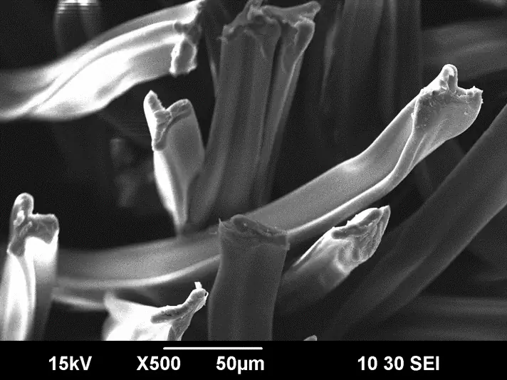 Acetatfaser - Gold-Sputter; Vergr&ouml;&szlig;erung: 500x