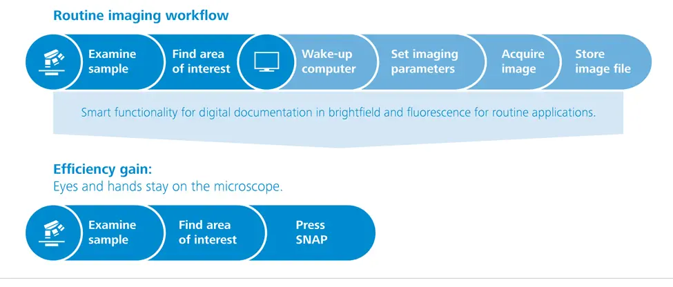 Zeiss AxioLab 5 - Workflows