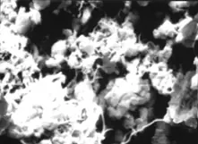 Kohlenstoffnanor&ouml;hren (CNT) bei hohen Vergr&ouml;&szlig;erungen - Gold-Sputter-Coating