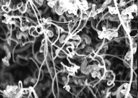 Kohlenstoffnanor&ouml;hren (CNT) bei hohen Vergr&ouml;&szlig;erungen - Osmium-Sponsoring; 20.000x